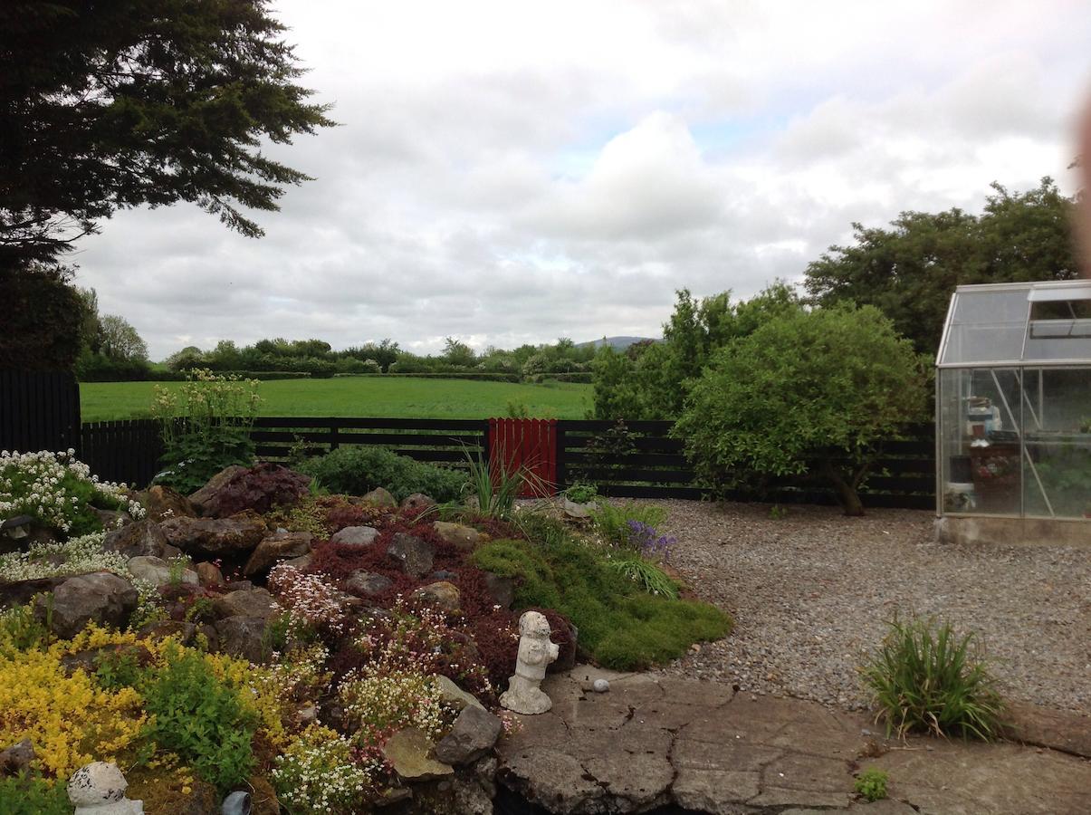 Barrow View Accommodation Mountmellick Esterno foto
